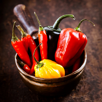 Na světě existují stovky kultivarů chilli papriček nejrůznějších tvarů, velikostí a barev.