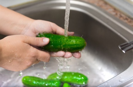 Botulismus, který vyvolává bakterie Clostridium botulinum, vzniká například kvůli špatně oprané zelenině či ovoci Botulismus, který vyvolává bakterie Clostridium botulinum, vzniká například kvůli špatně oprané zelenině či ovoci