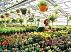 Fotolia_102728320_M