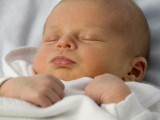 Fotolia_27518934_XS
