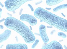 Fotolia_39528095_Lc