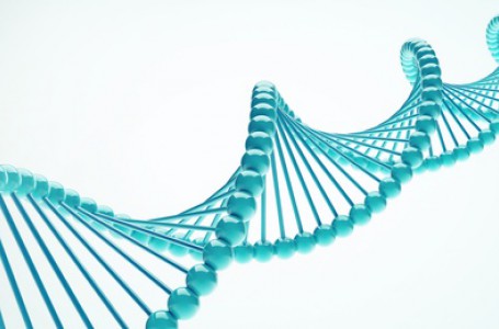 Huntingtonova nemoc - DNA Huntingtonova nemoc - DNA