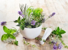 Fotolia_54032202_XS