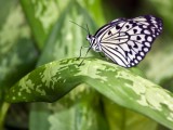 Fotolia_63189766_XS