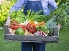 Fotolia_66895675_XS