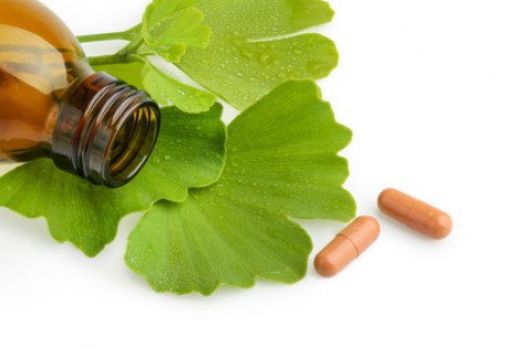 Ginkgo biloba neboli jinan dvoulaločný pomáhá zlepšovat paměť i koncentraci a pomáhá při řadě nemocí ginkgo biloba