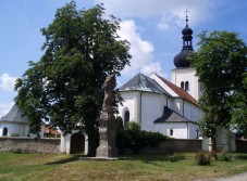 osice foto