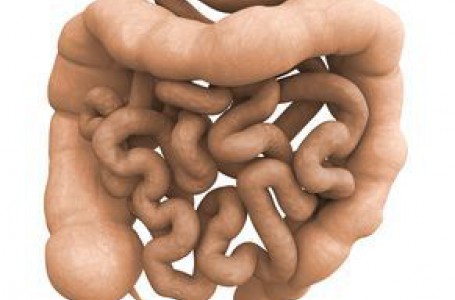 Původci průjmovitých onemocnění jsou bakterie, viry a paraziti, přičemž každý z nich má charakteristické projevy. Původci průjmovitých onemocnění jsou bakterie, viry a paraziti, přičemž každý z nich má charakteristické projevy.