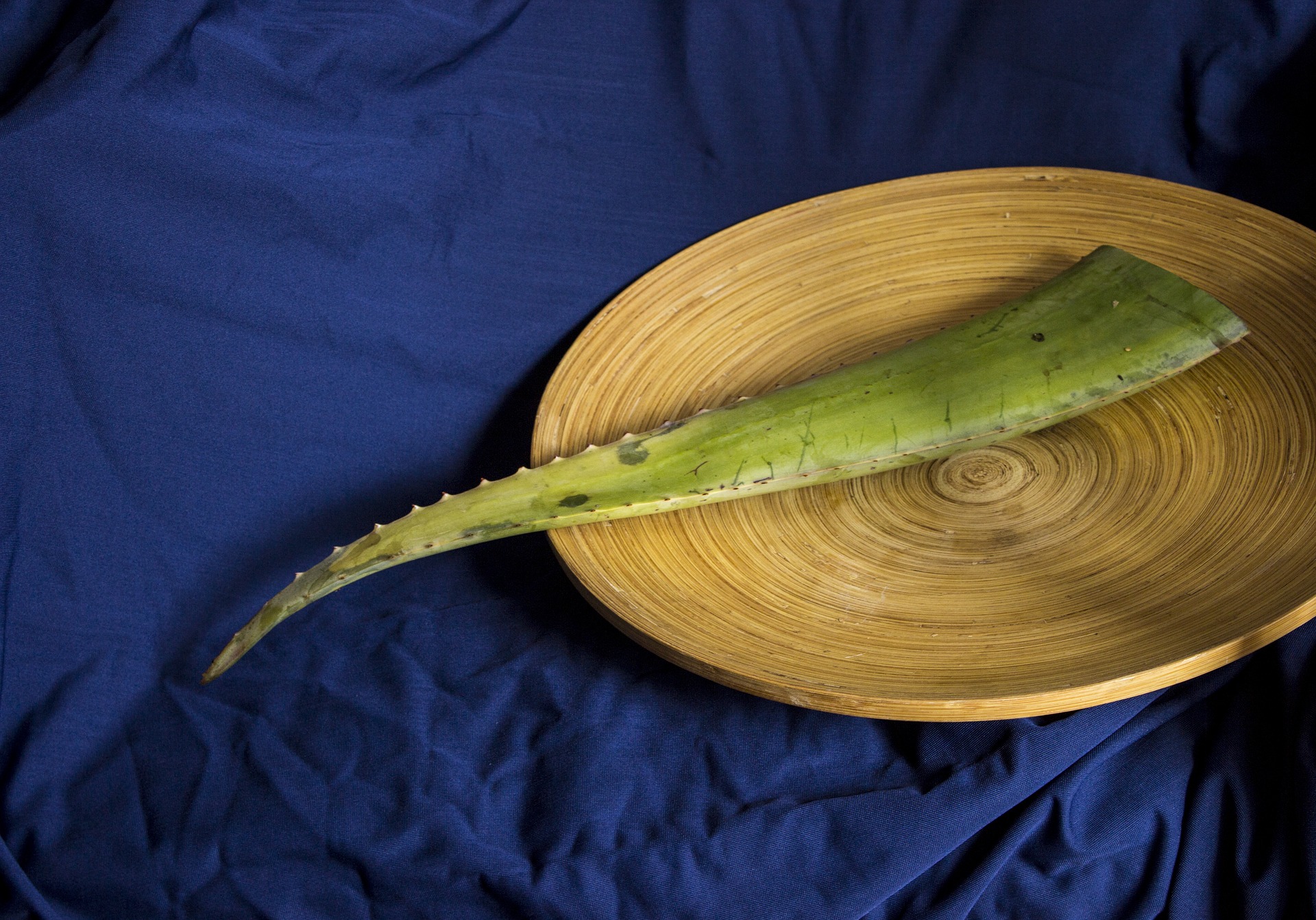 Aloe vera recepty: připravte si účinný detoxikační nápoj či pleťovou masku aloe vera recepty