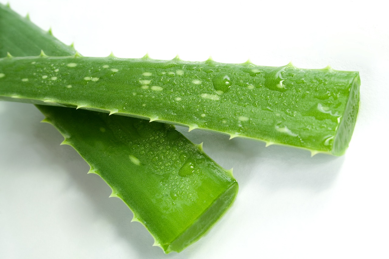Aloe vera pomáhá proti vráskám krém proti vráskám aloe vera