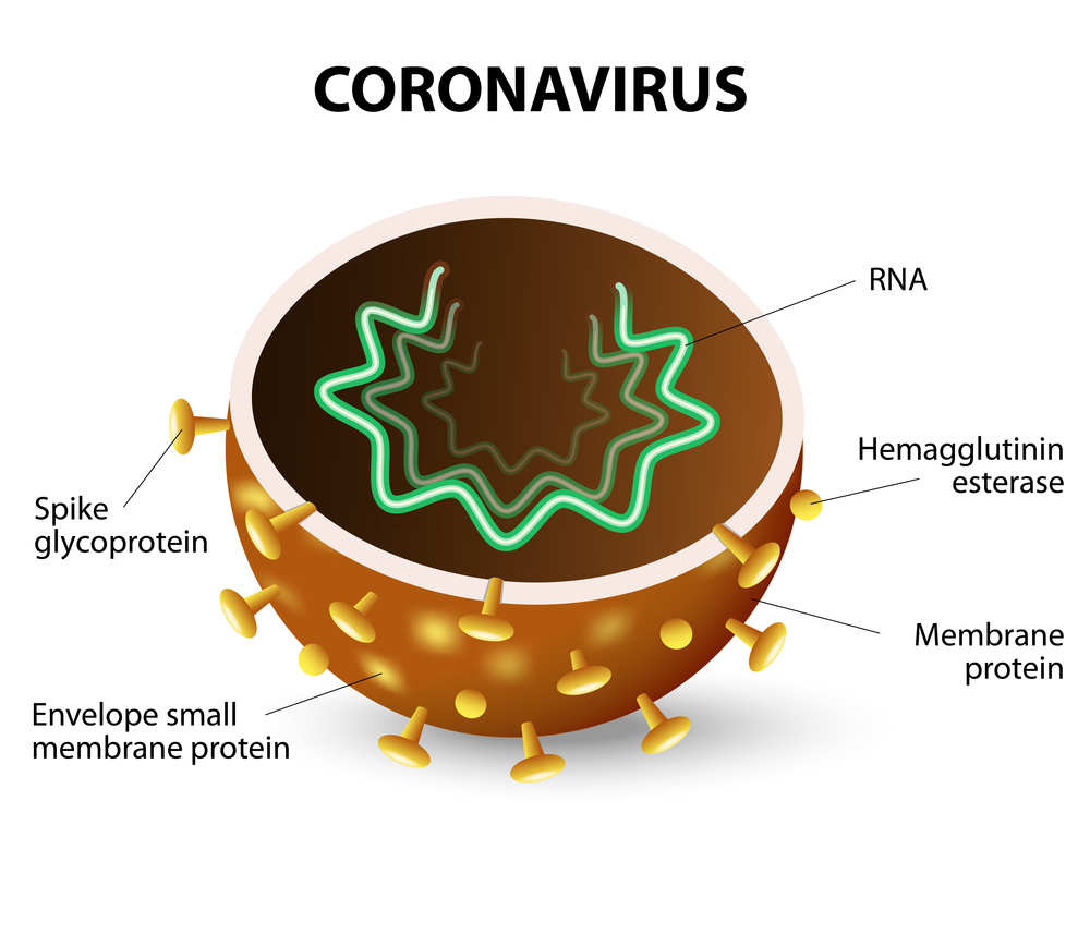 coronavir