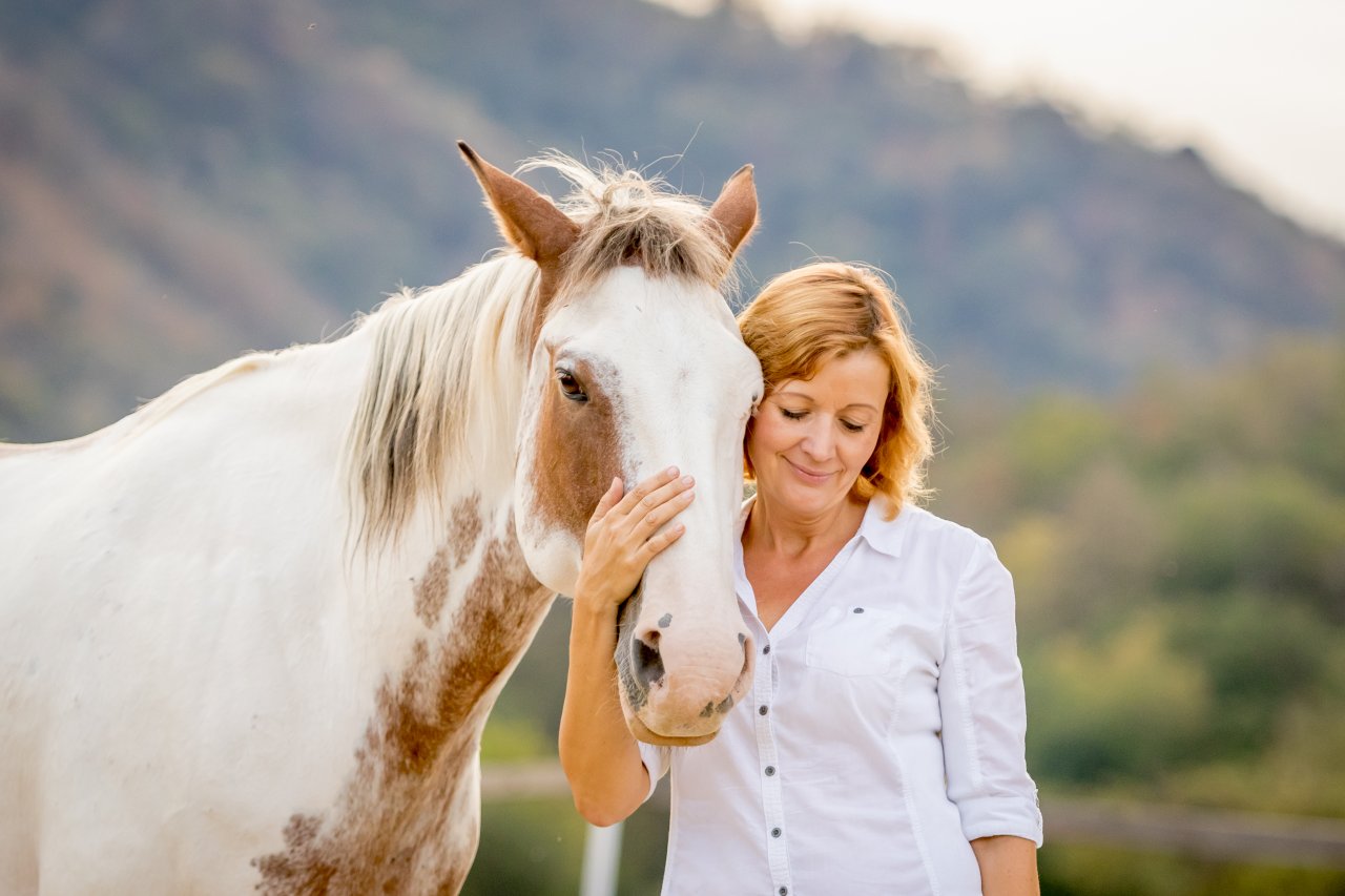 Koučink s koněm pomůže na cestě k sebepoznání