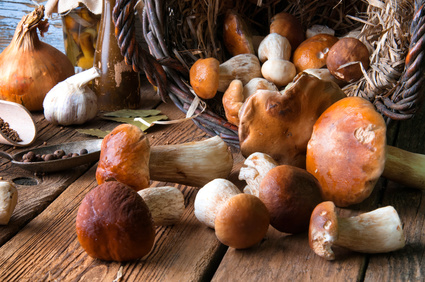 Jak na zpracování hub? Podrobný návod, jak připravit mražené, zavařené i sušené houby