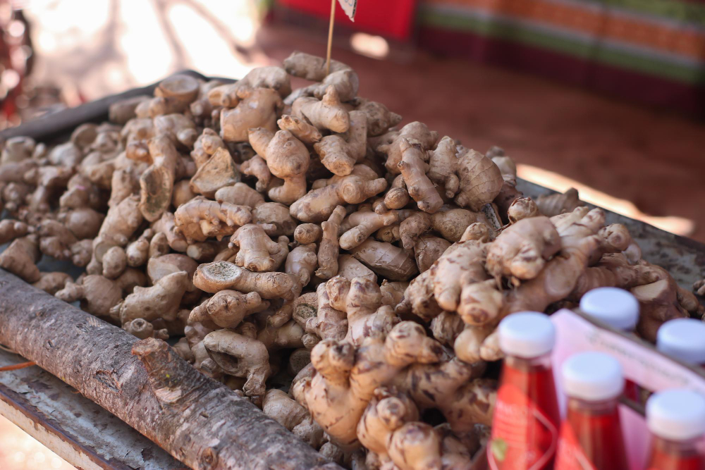 Z manioku se vyrábí oblíbený druh škrobu