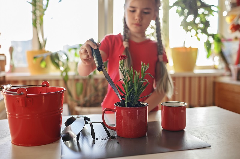 Do přesazování pokojových rostlin můžete zahrnout i své děti. Mnohé se u této činnosti naučí.