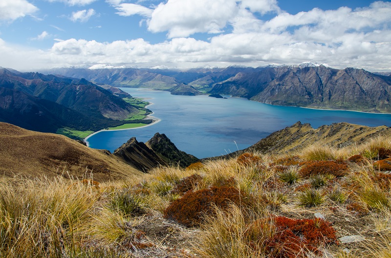 Nový Zéland je zdaleka nejpřátelštější destinací pro LGBT komunitu a krom jiného nabízí i překrásnou přírodu. 