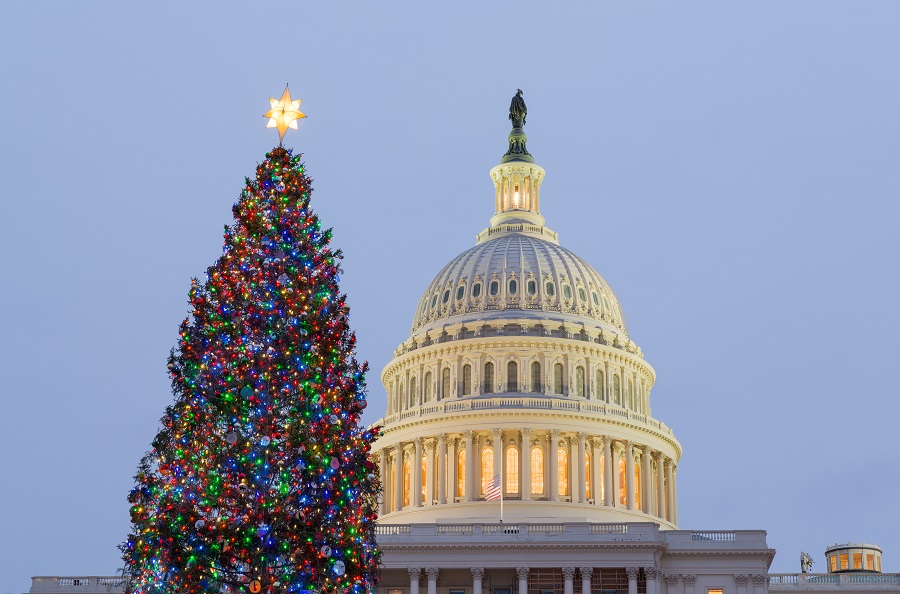 Vánoční strom před budovou Kapitolu ve Washingtonu D.C.