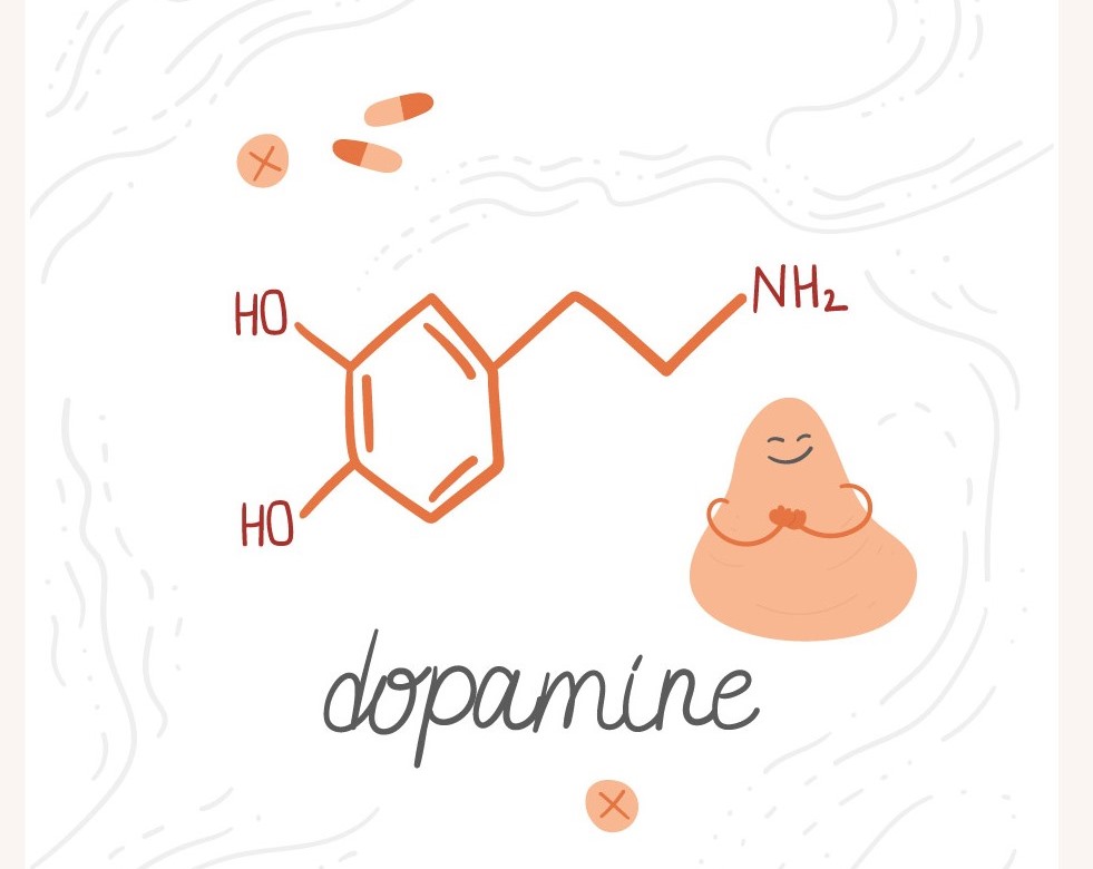 Dopamin patří mezi tzv. hormony štěstí