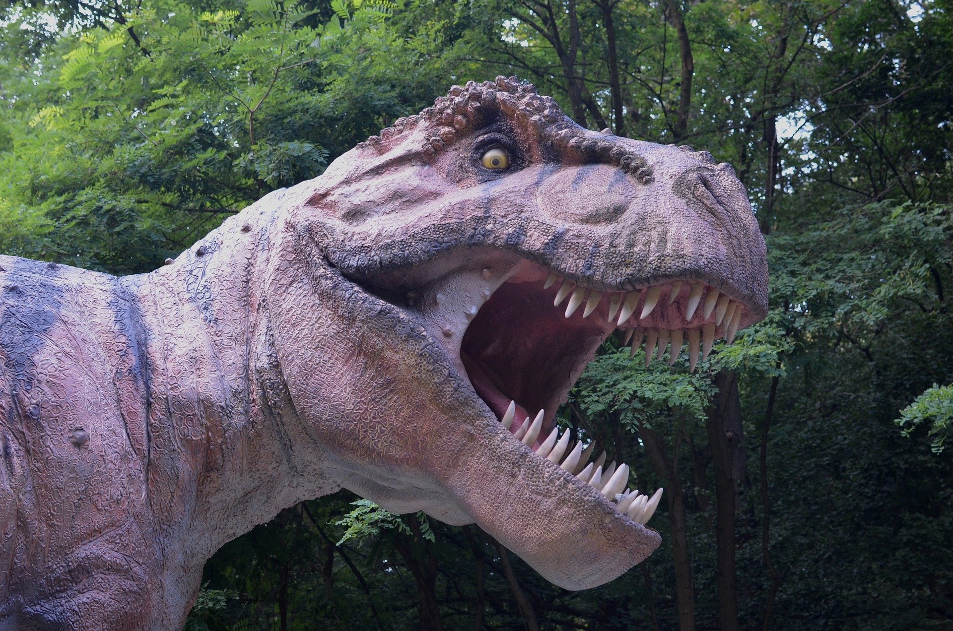 Už jste viděli robotického Tyronnasaura rexe? Pokud ne, zavítejte třeba na Dinoexpedici 2023 do Českých Budějovic!