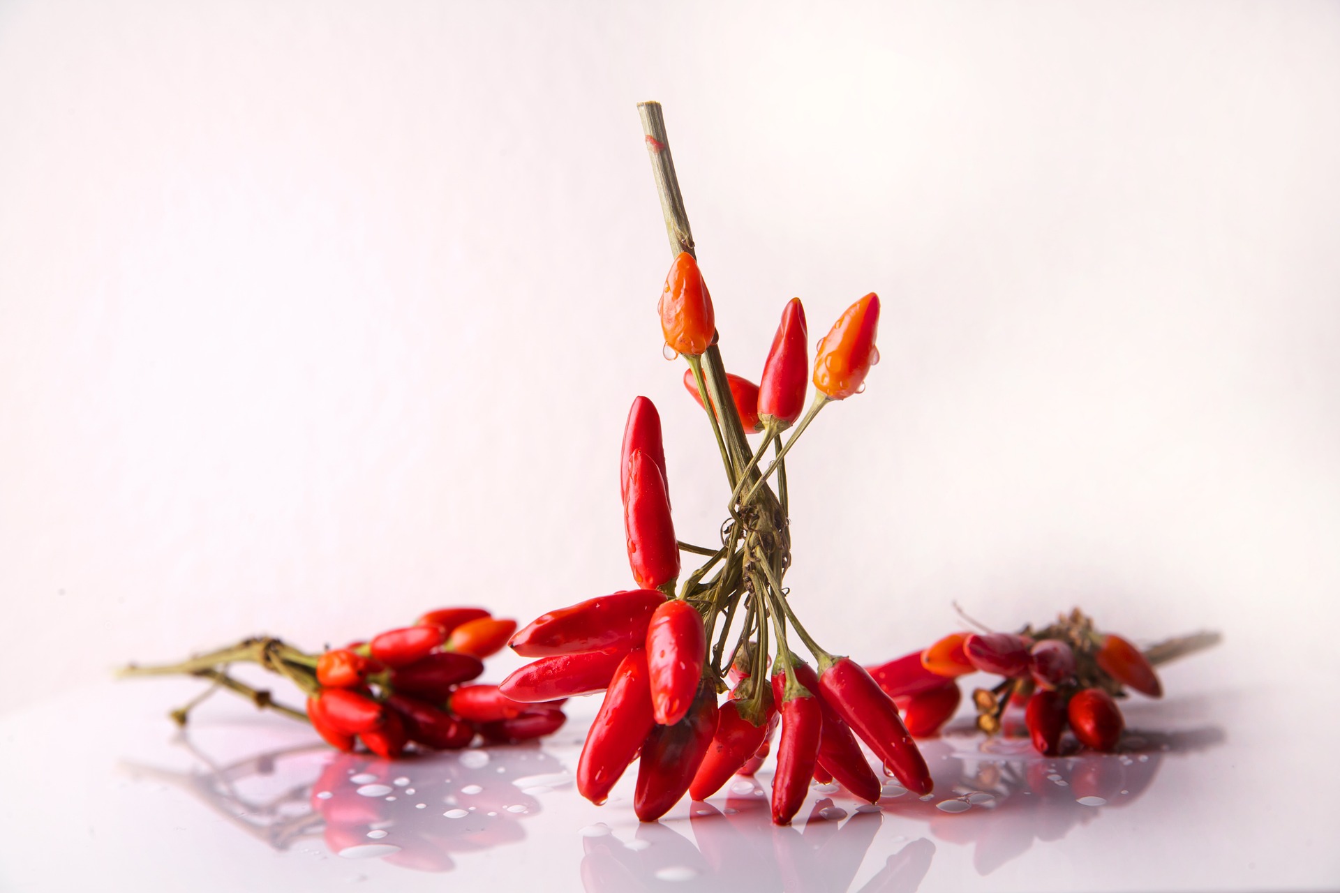 Chilli papričky můžete nejen sušit, ale i nakládat ve sladkokyselém nálevu nebo zamrazit.