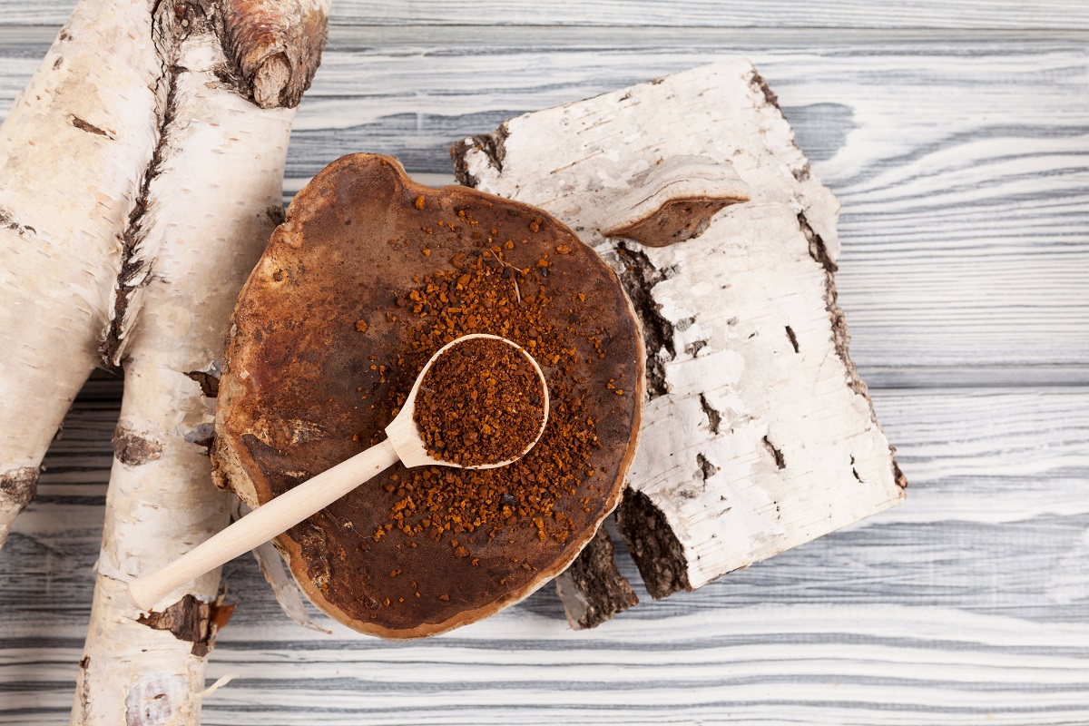 Medicinální houby se míchají s kávovými zrny