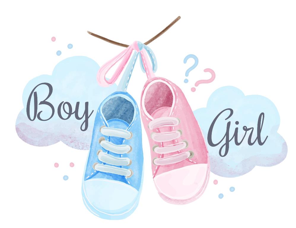 Pohlaví miminka: Bude to holka nebo kluk?